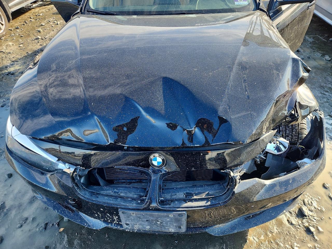 2014 BMW 320 photo 31