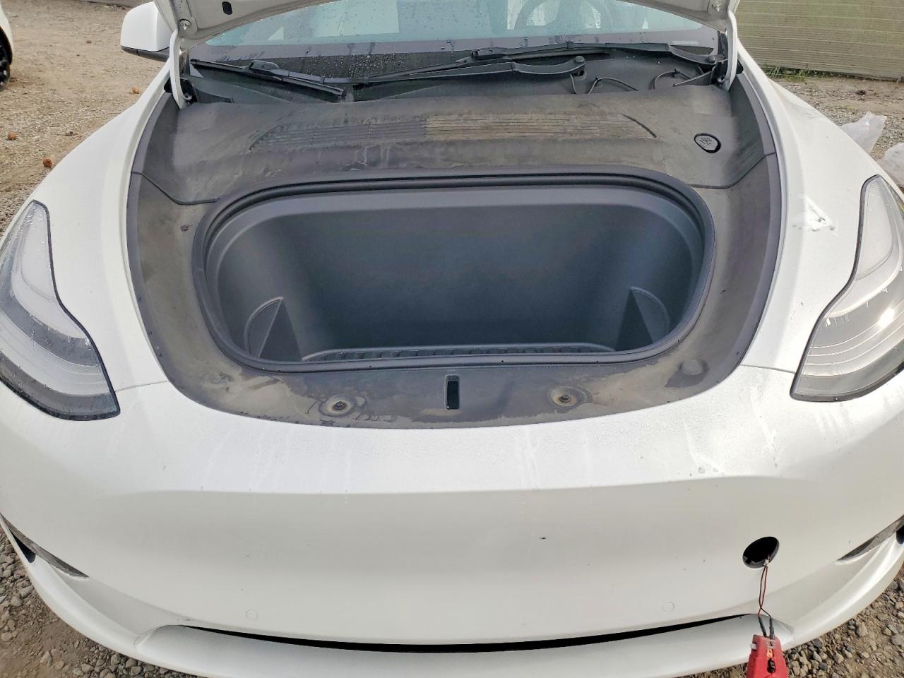 2021 TESLA MODEL Y photo 12