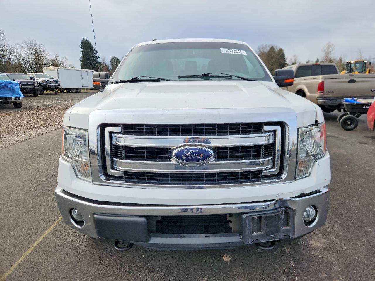 2014 FORD F150 SUPERCREW photo 5