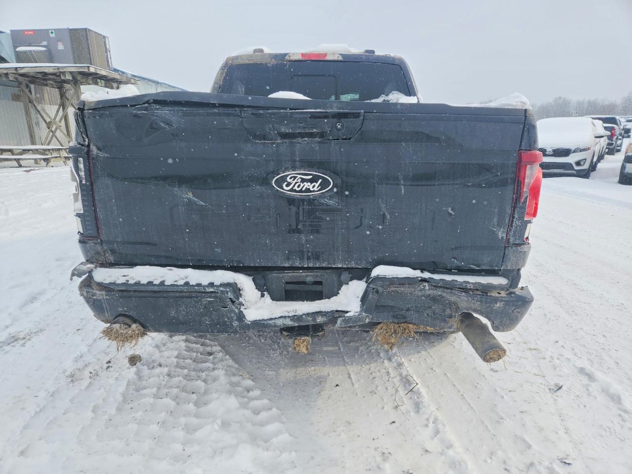 2024 FORD F150 XLT photo 6
