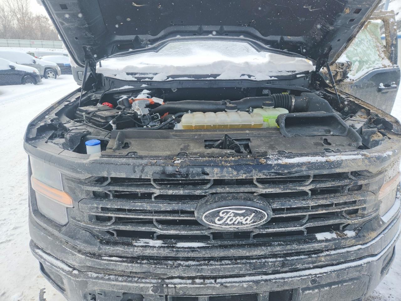 2024 FORD F150 XLT photo 11