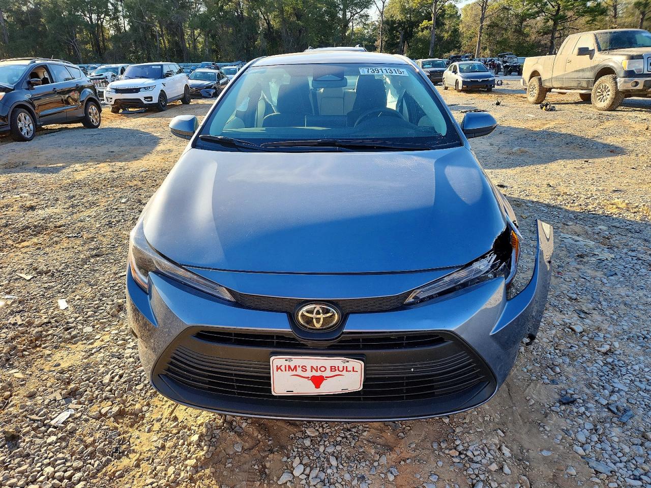 2025 TOYOTA COROLLA LE photo 9