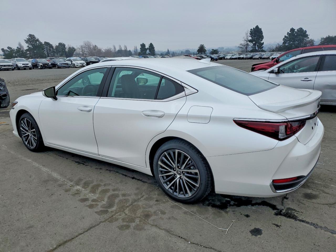 2025 LEXUS ES 300H BASE photo 2