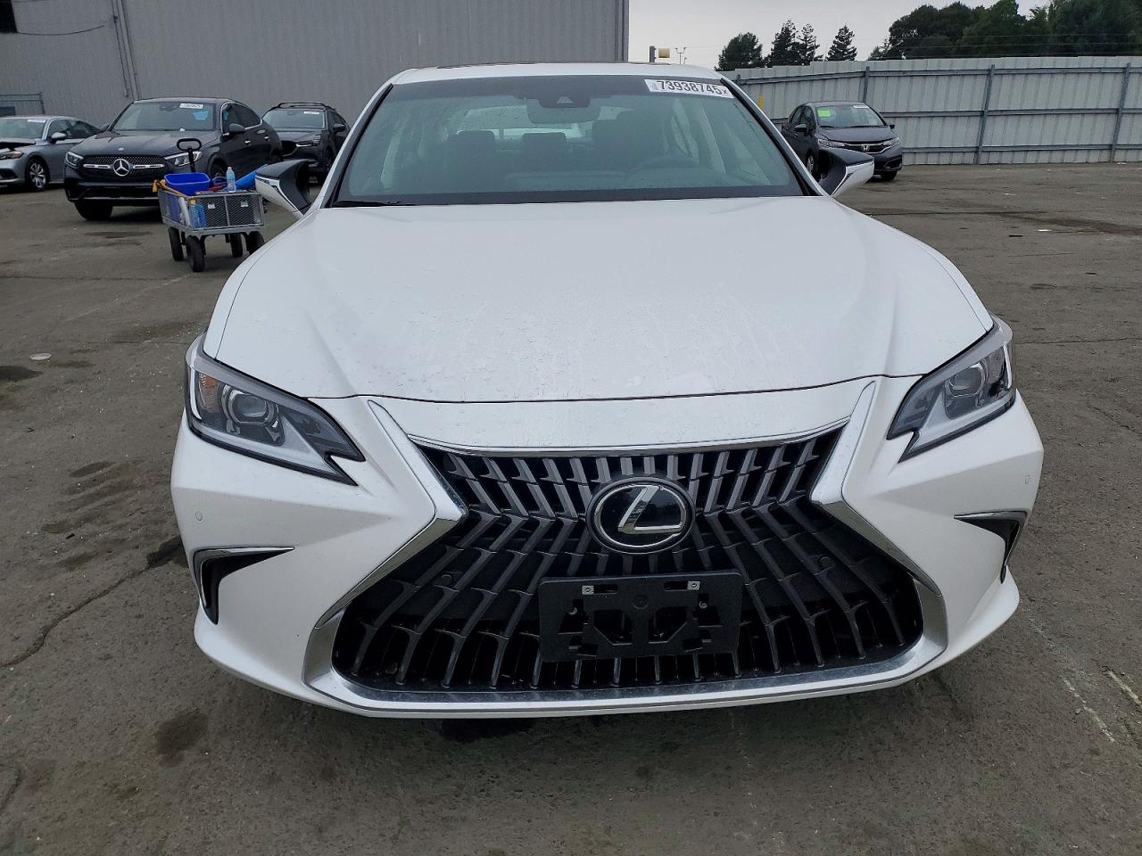2025 LEXUS ES 300H BASE photo 5