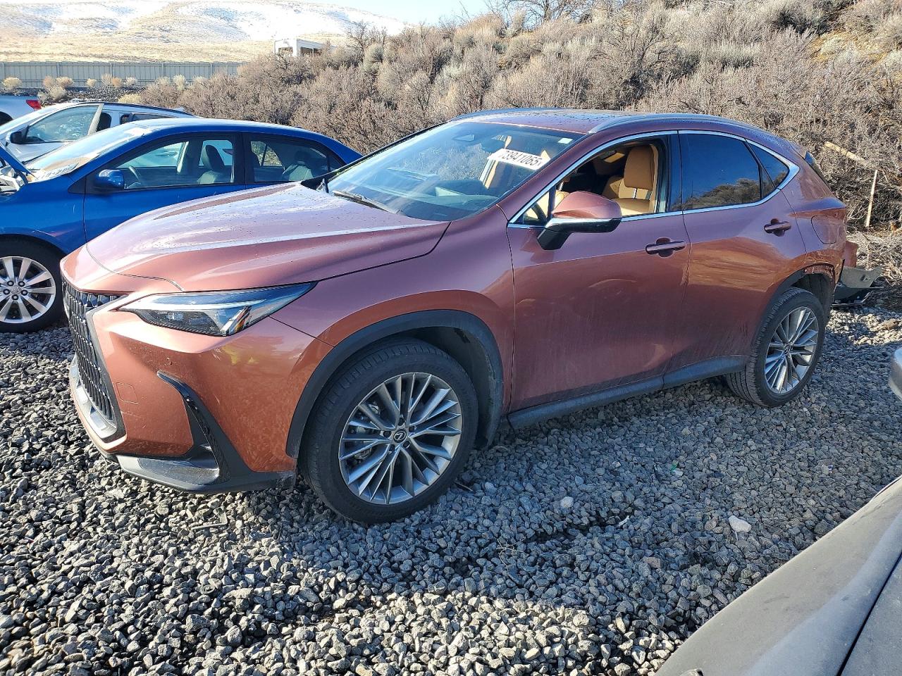 2025 LEXUS NX