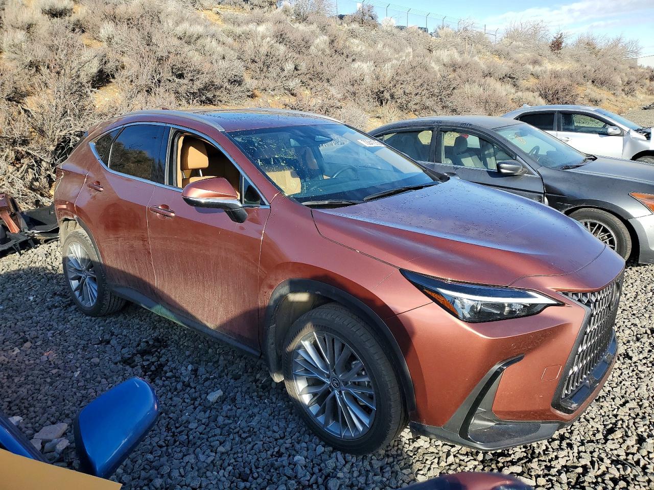 2025 LEXUS NX 350H BASE photo 4
