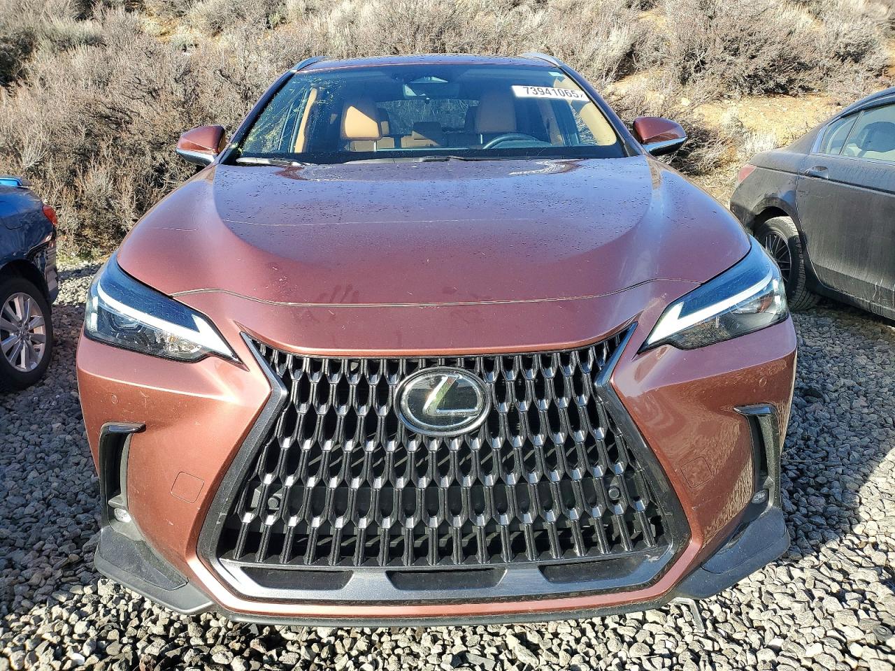 2025 LEXUS NX 350H BASE photo 5