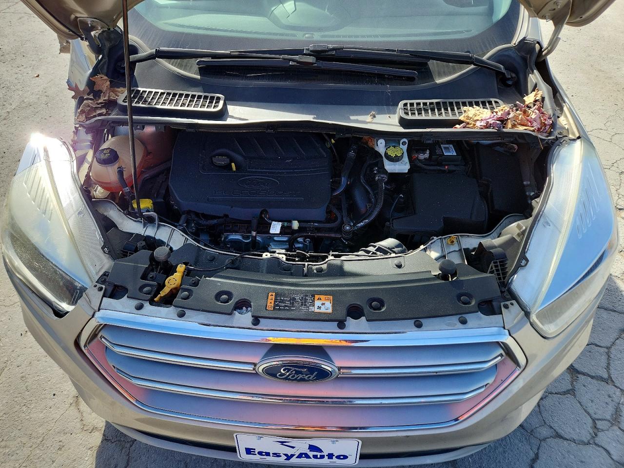 2017 FORD ESCAPE SE photo 34
