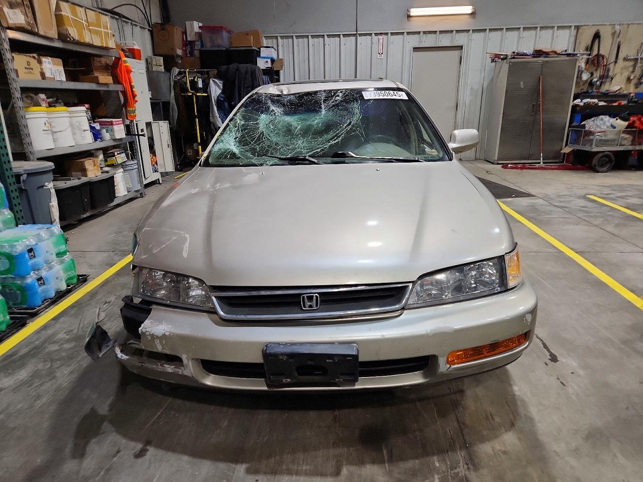 1996 HONDA ACCORD EX photo 5