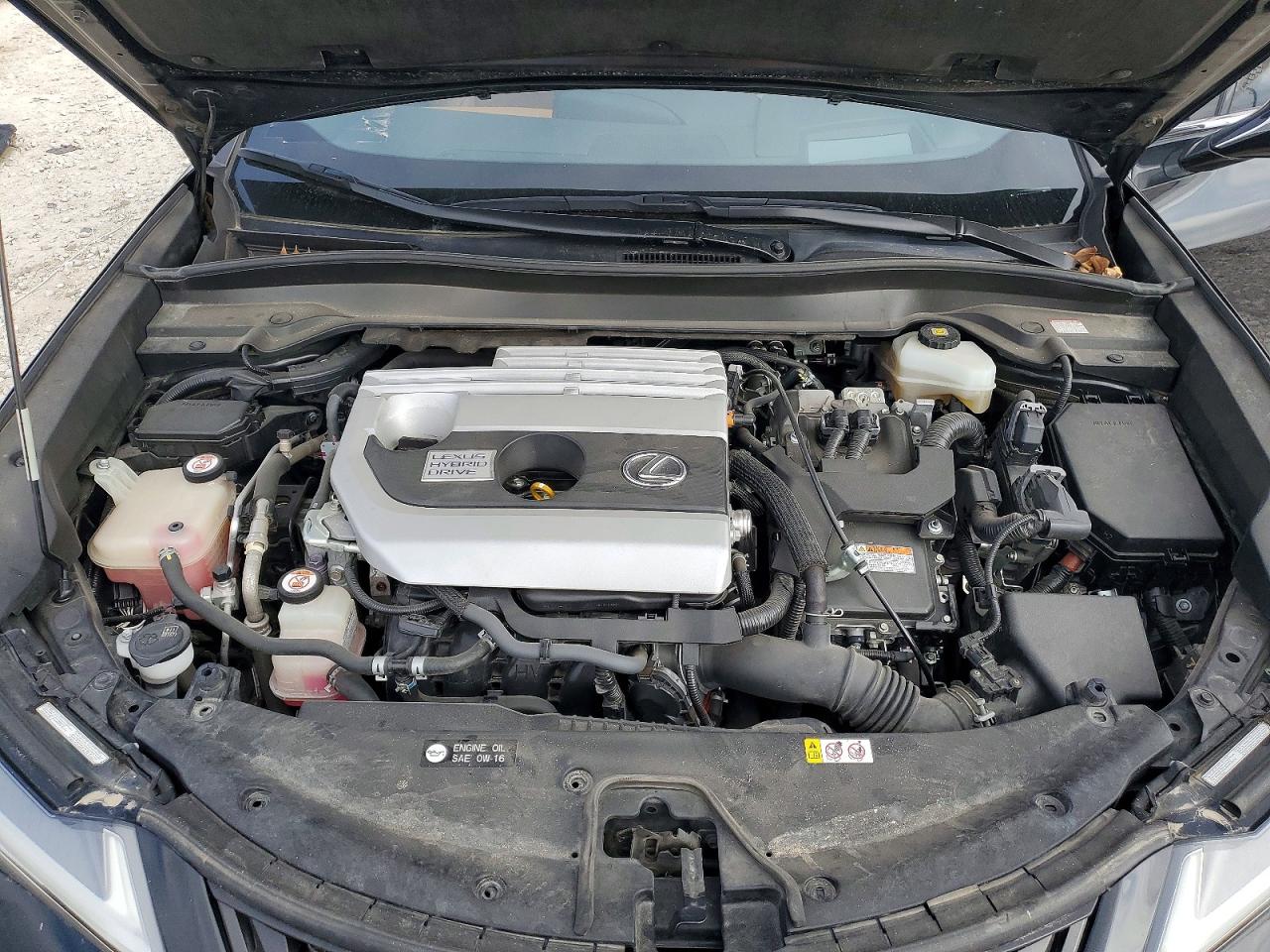 2019 LEXUS UX 250H photo 23