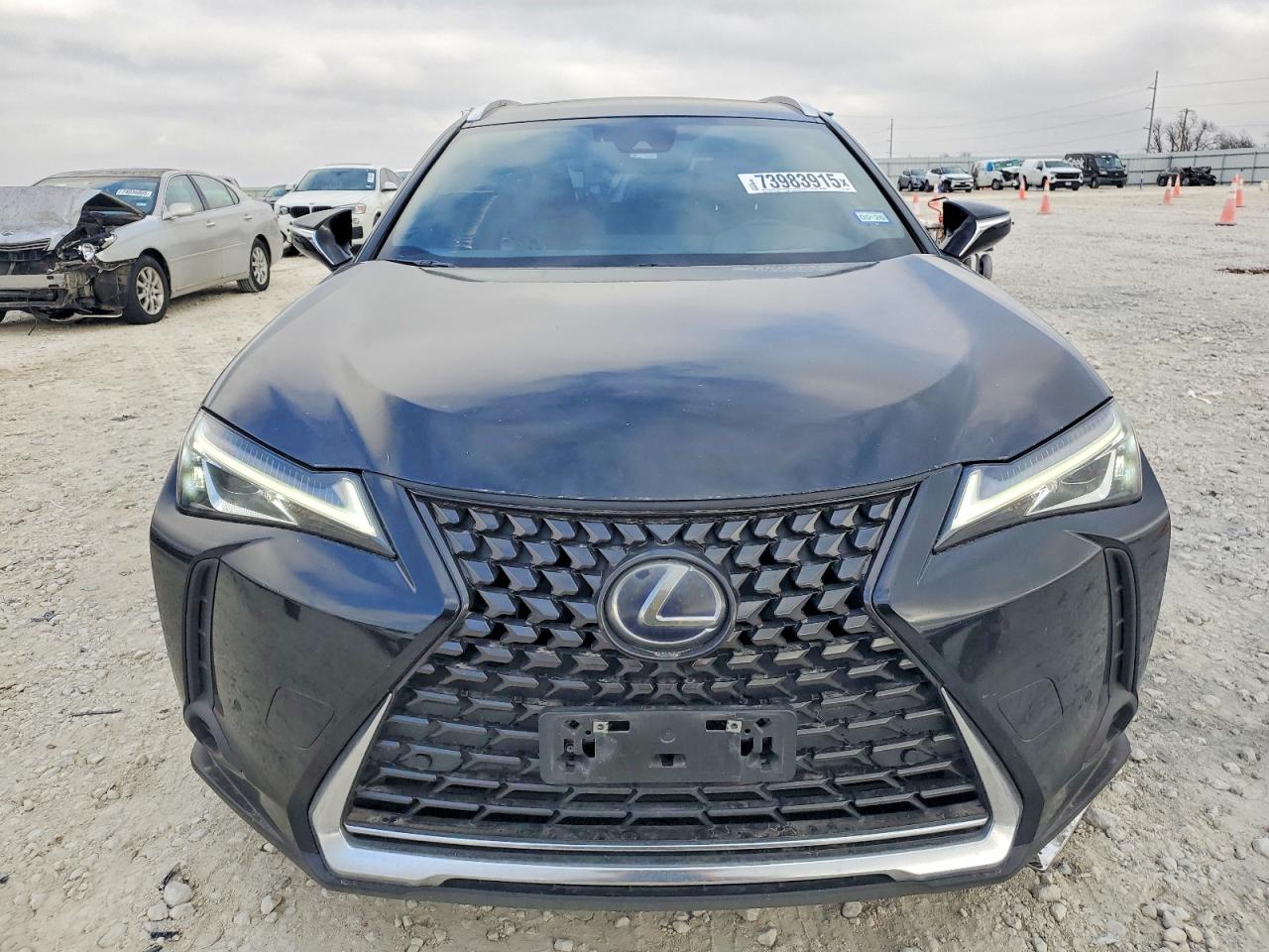 2019 LEXUS UX 250H photo 9