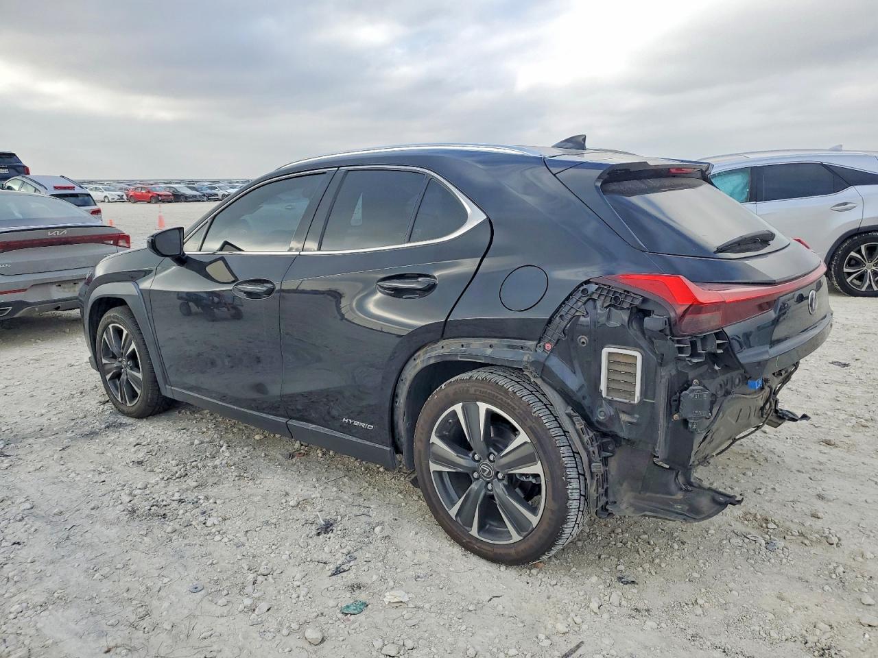 2019 LEXUS UX 250H photo 3