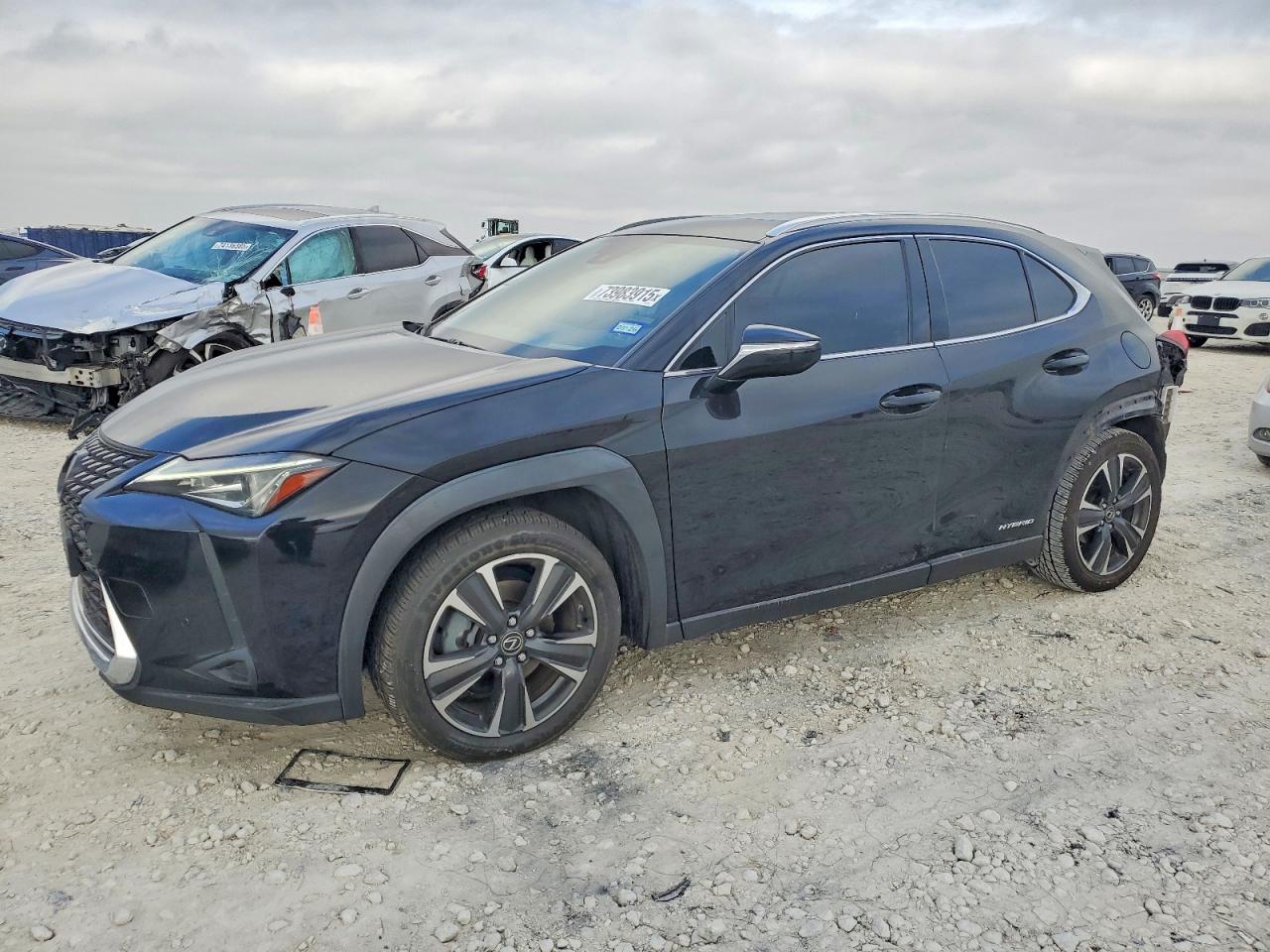 2019 LEXUS UX