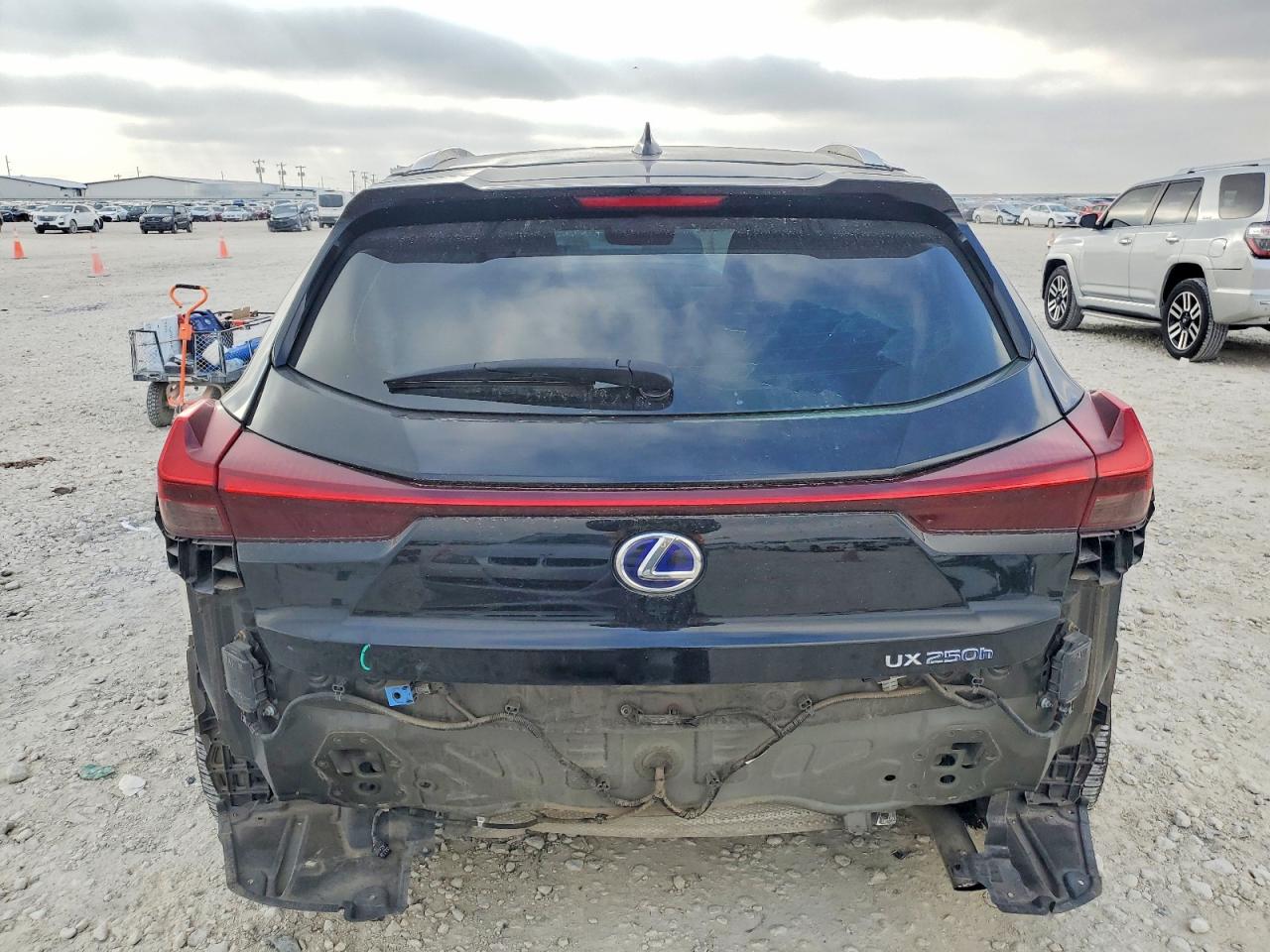 2019 LEXUS UX 250H photo 11