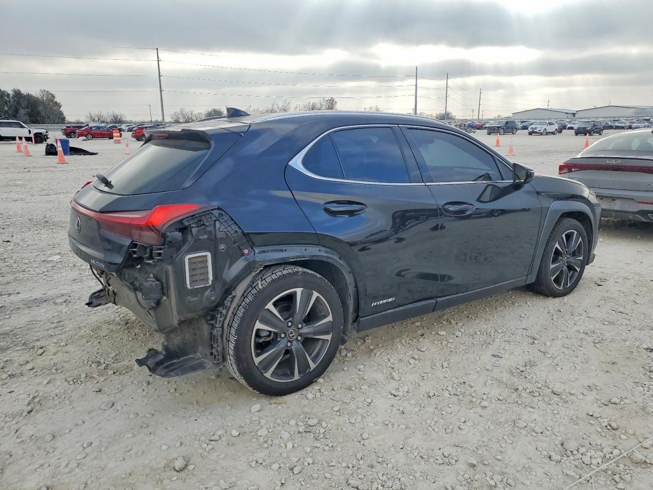 2019 LEXUS UX 250H photo 5