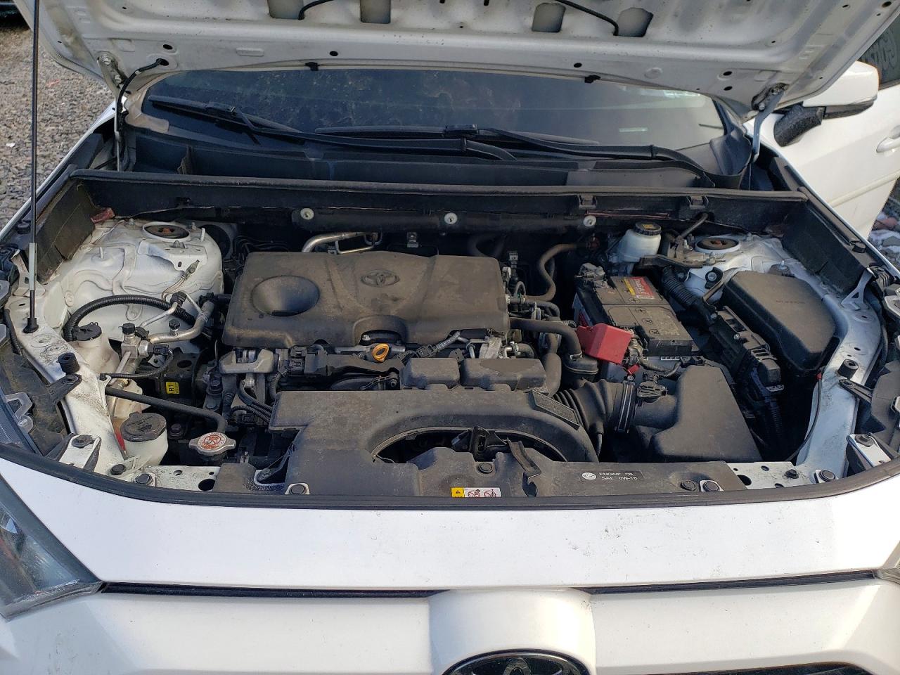 2019 TOYOTA RAV4 LE photo 12