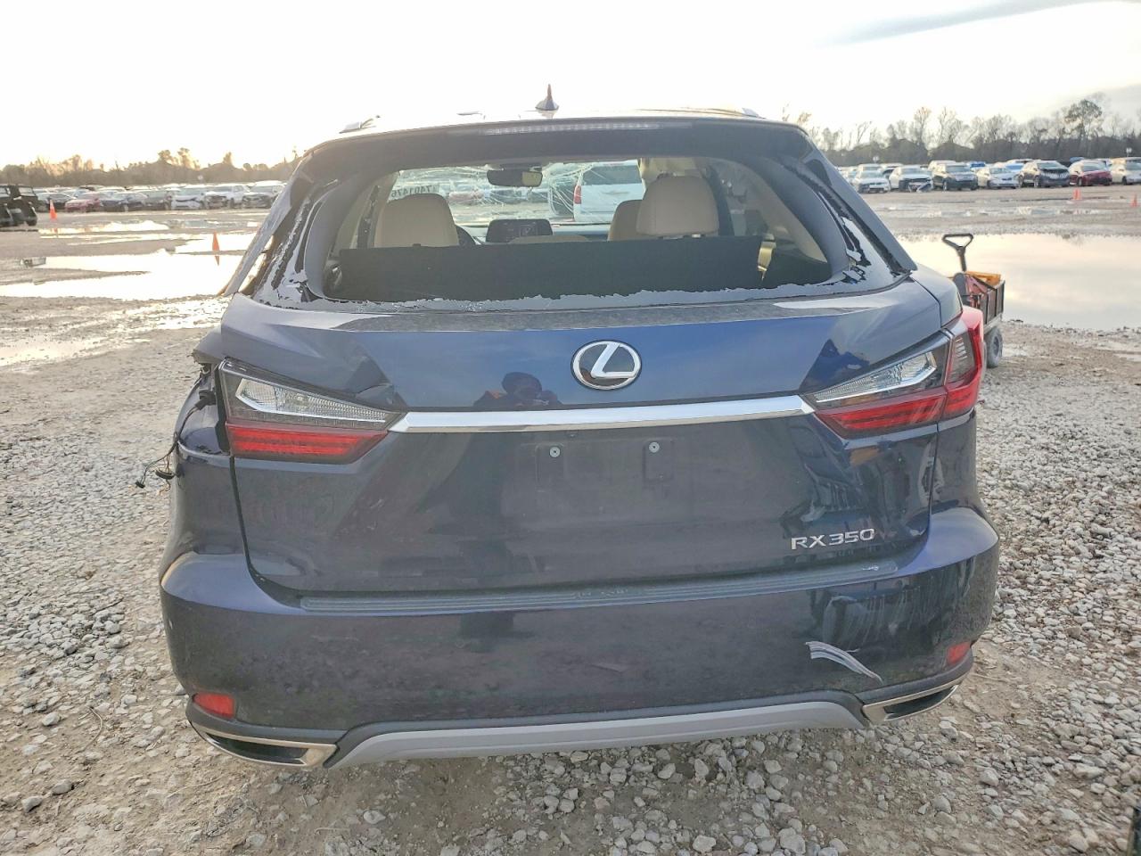 2021 LEXUS RX photo 6