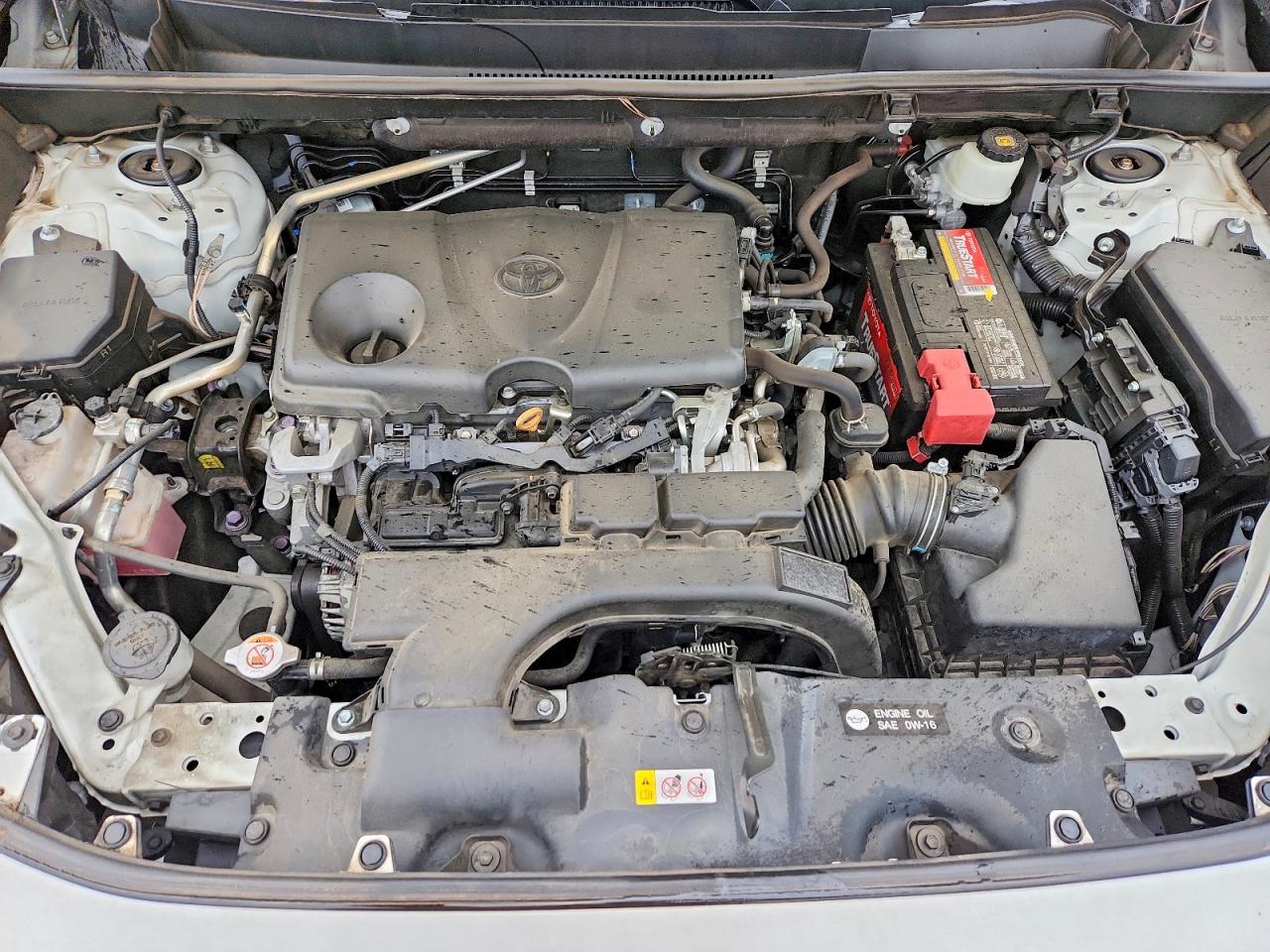 2019 TOYOTA RAV4 XLE photo 12