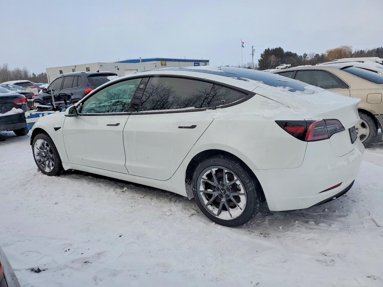 2023 TESLA MODEL 3 photo 3
