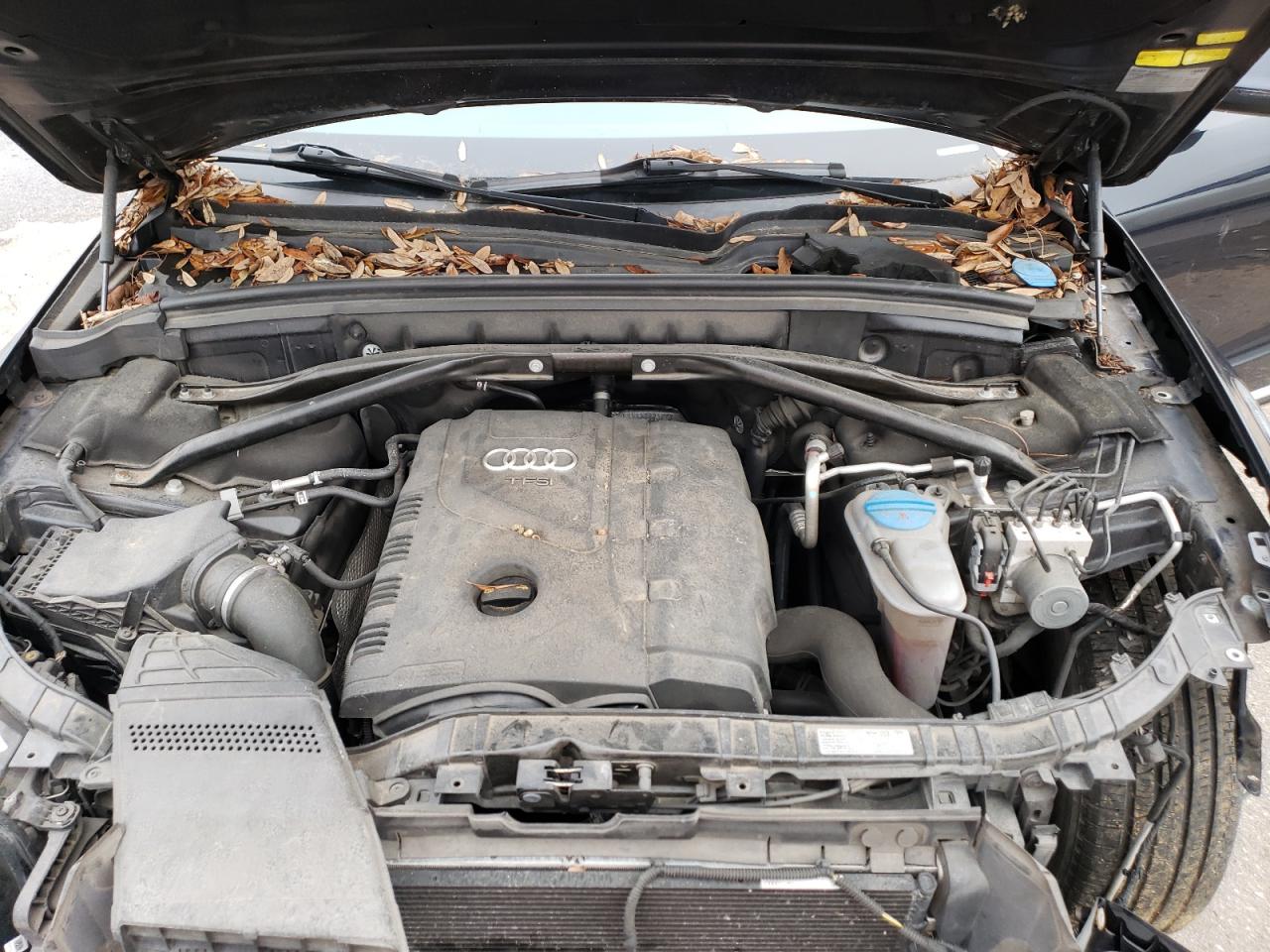 2013 AUDI Q5 PREMIUM photo 12