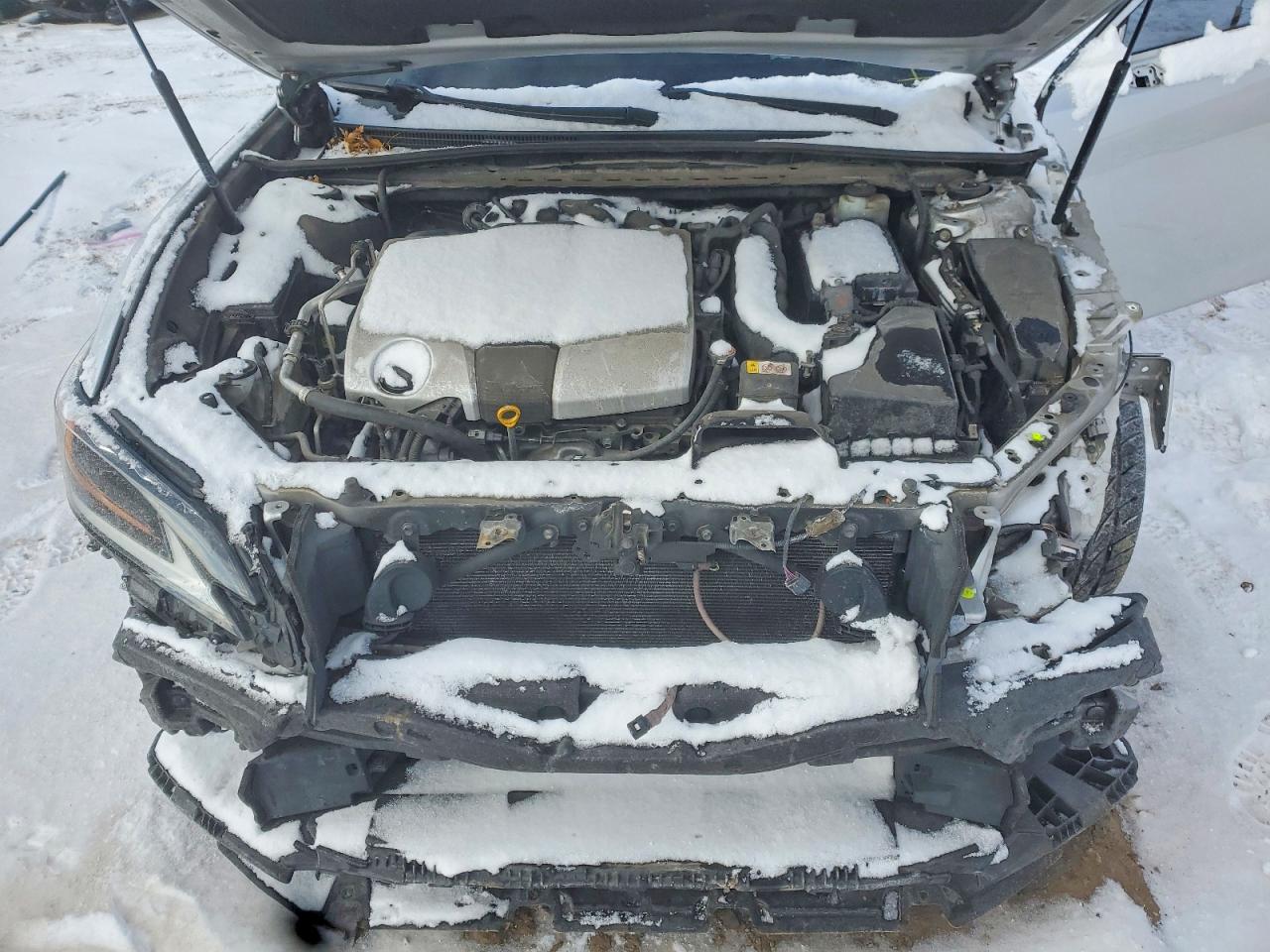 2019 LEXUS ES 350 photo 31