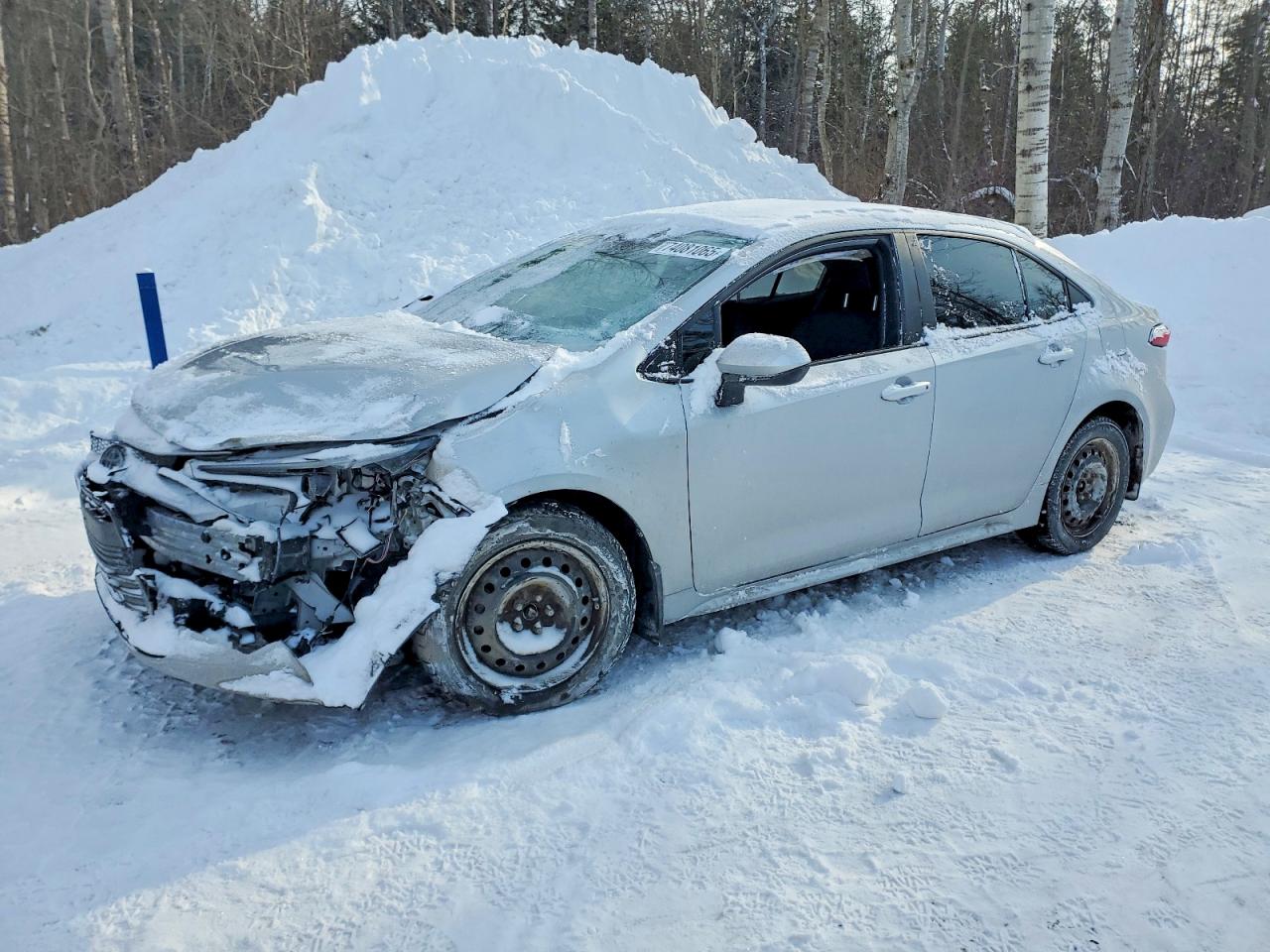 2025 TOYOTA COROLLA