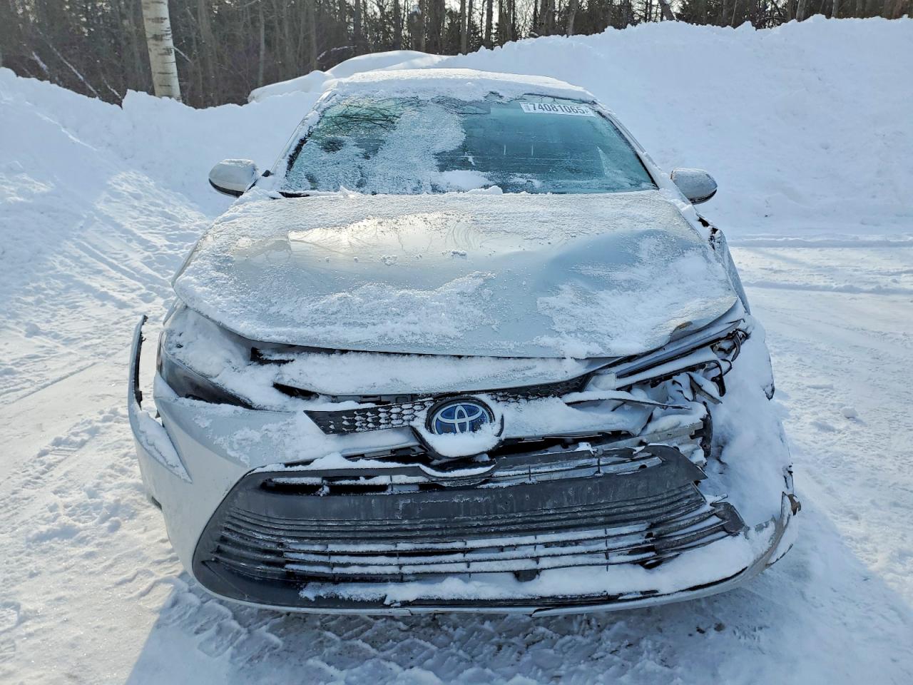 2025 TOYOTA COROLLA LE photo 5