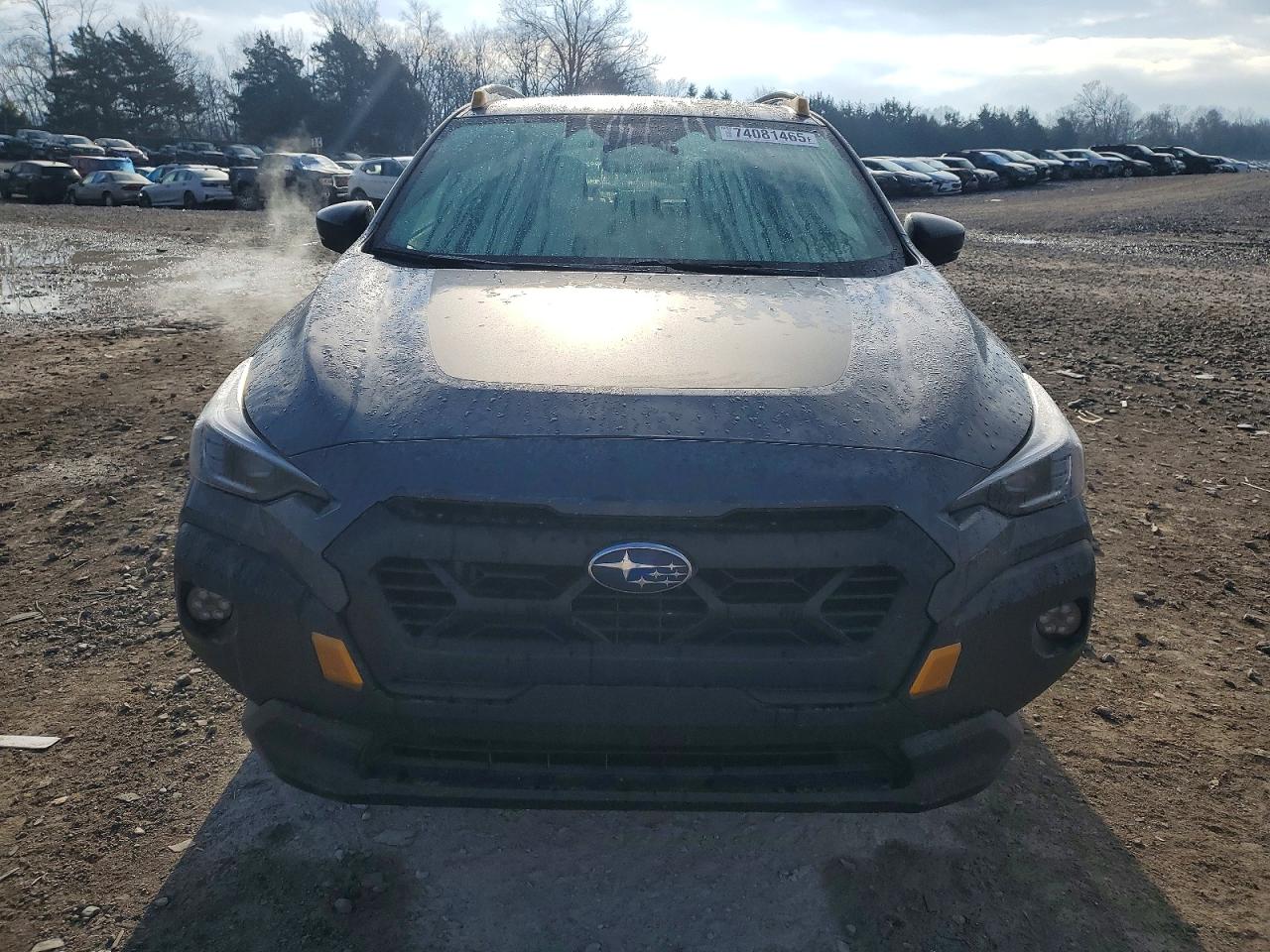 2024 SUBARU CROSSTREK WILDERNESS photo 9
