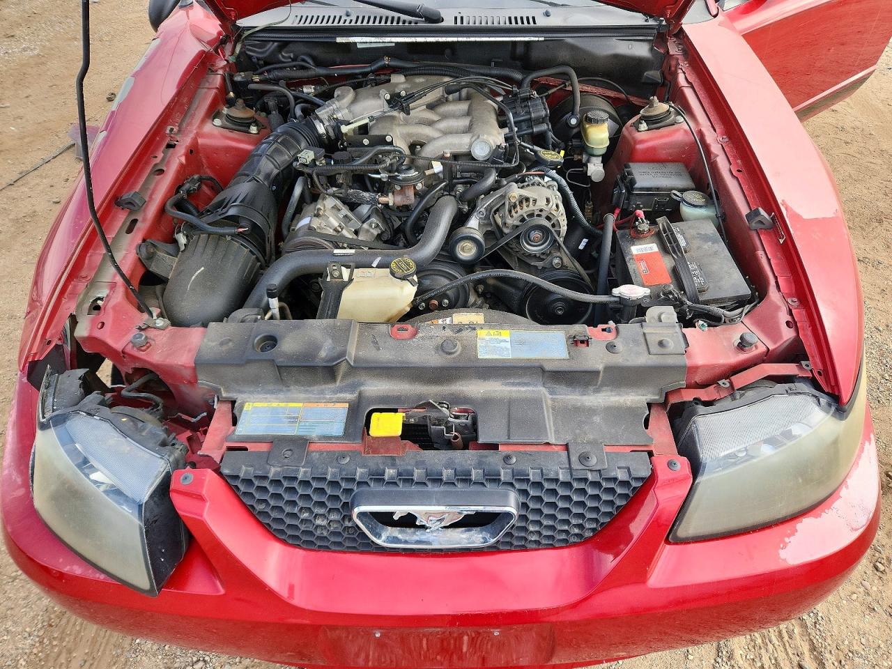 2002 FORD MUSTANG photo 11