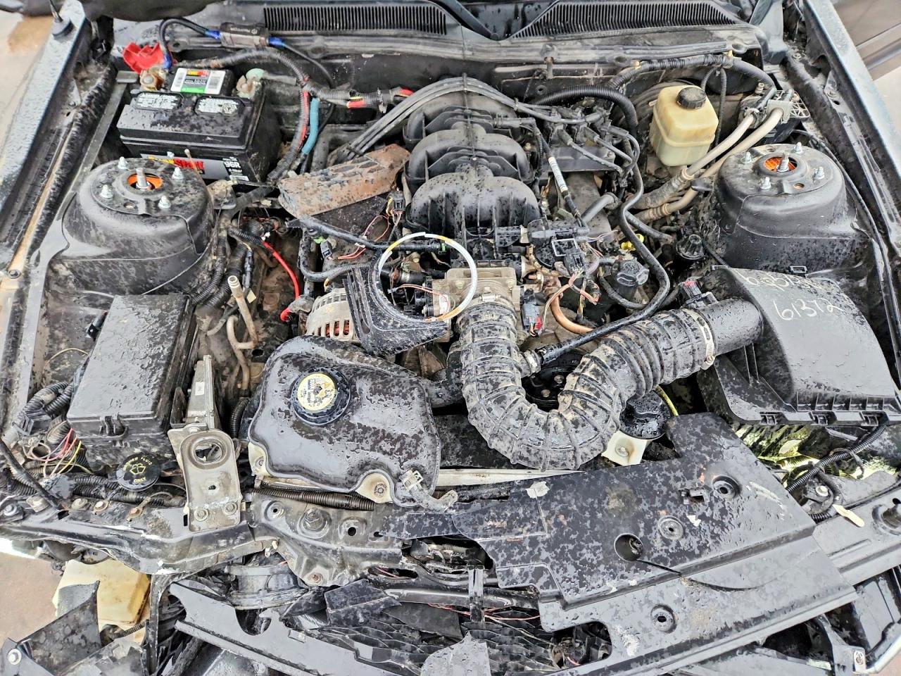 2008 FORD MUSTANG photo 21