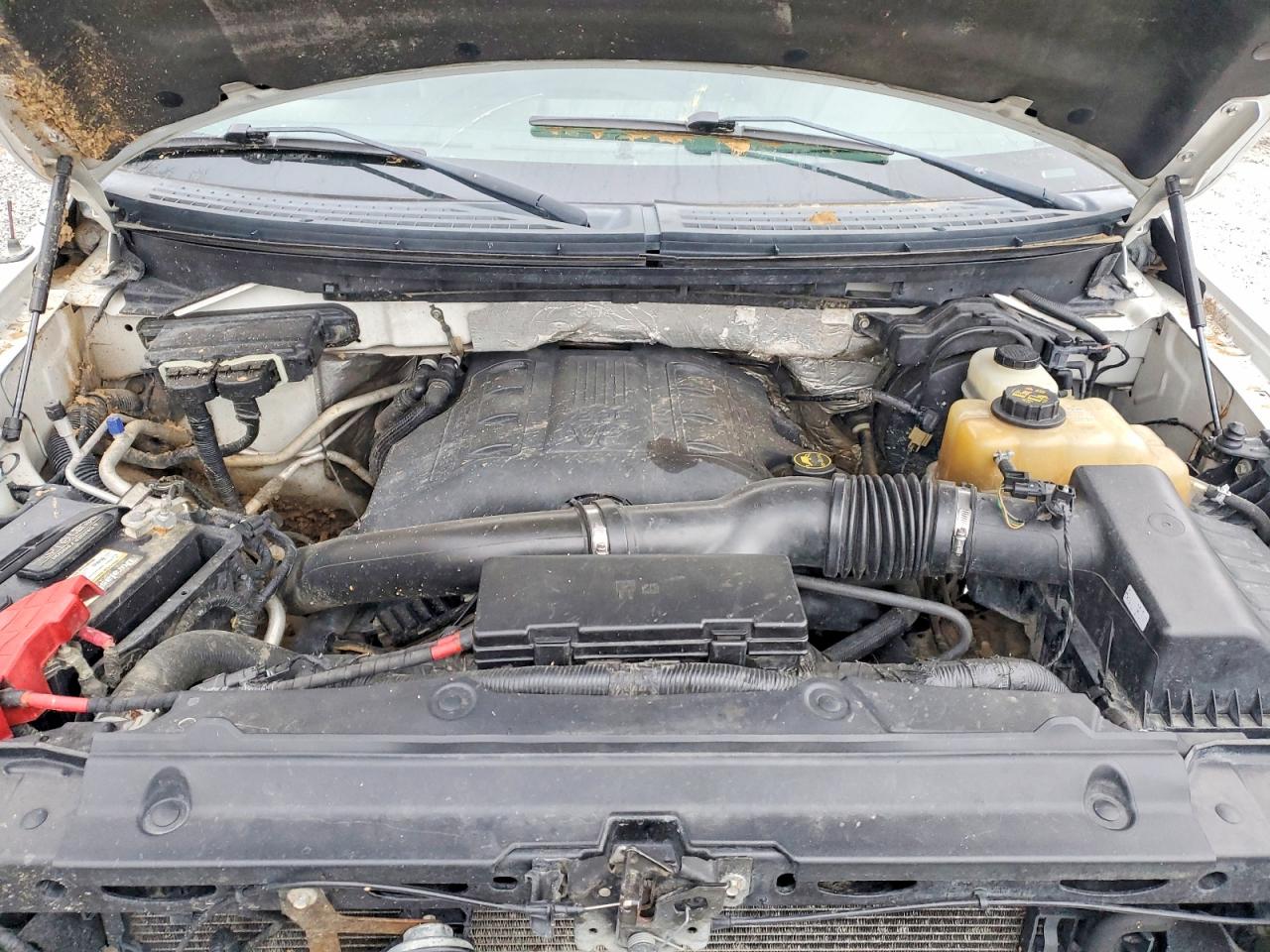 2014 FORD F150 SUPERCREW photo 11