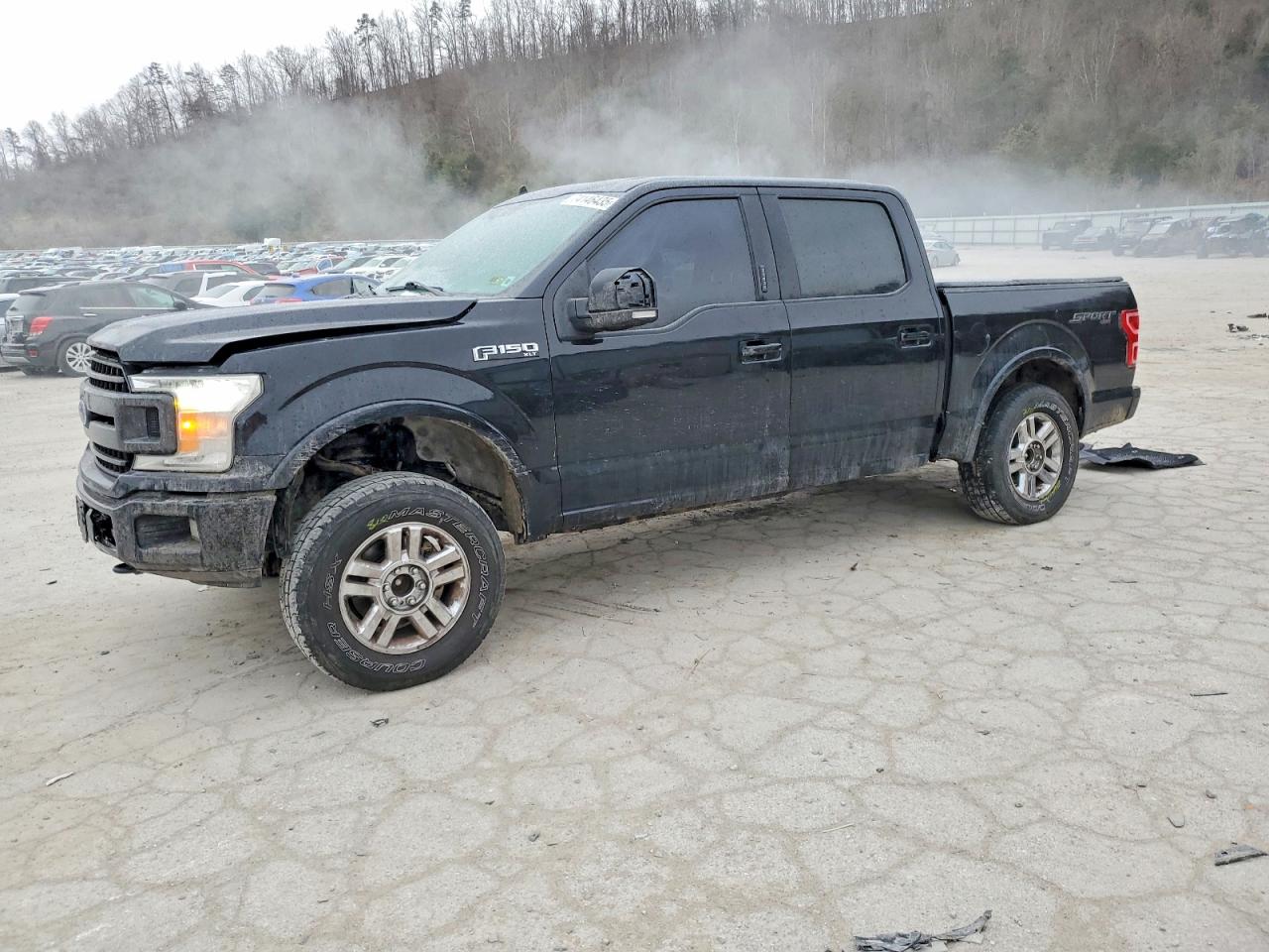 2019 FORD F150