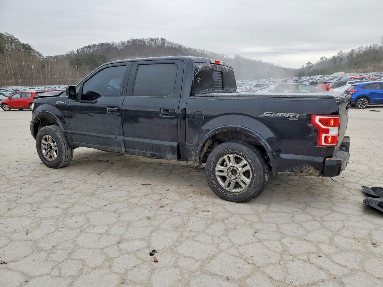 2019 FORD F150 SUPERCREW photo 3