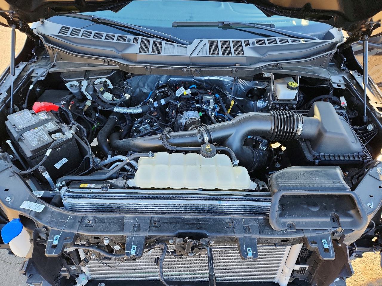 2024 FORD F150 XL photo 11