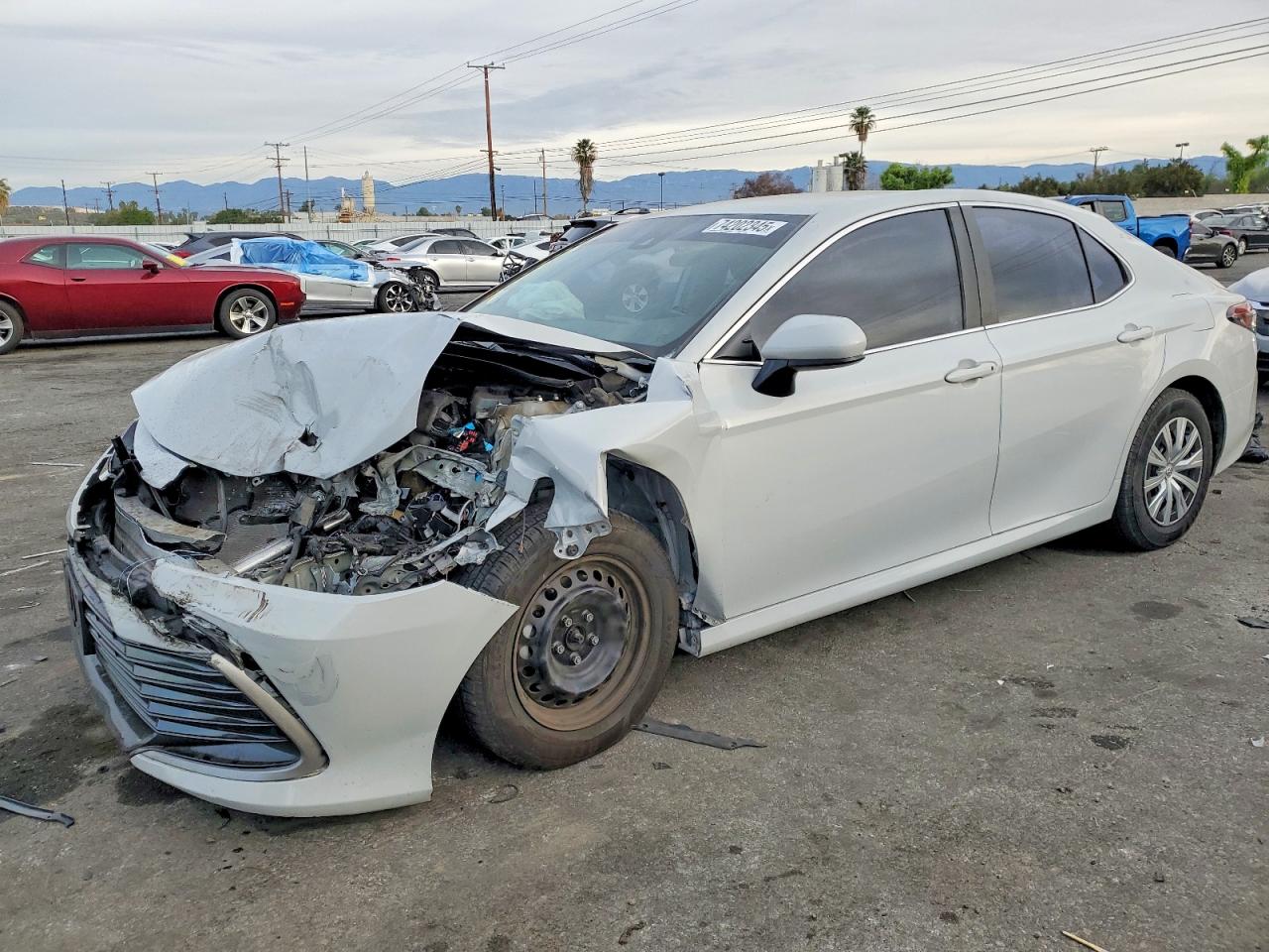 2023 TOYOTA CAMRY