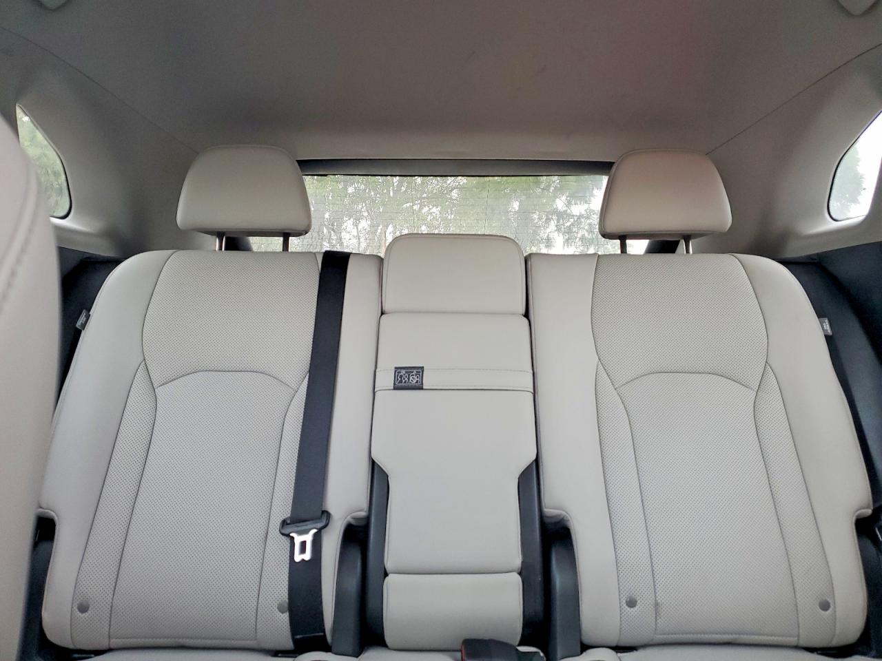 2021 LEXUS RX 350 photo 19