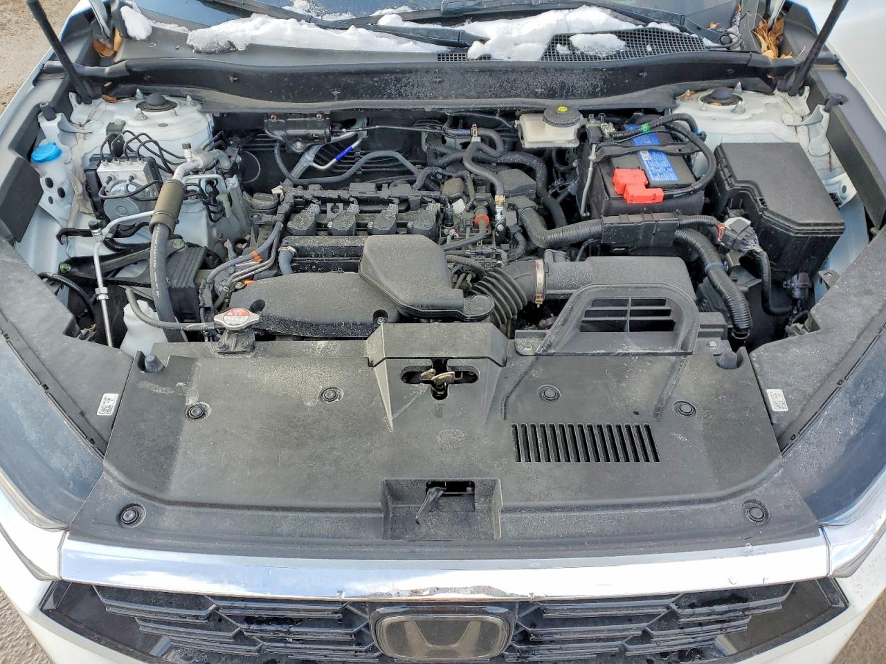 2024 HONDA CR-V EXL photo 12