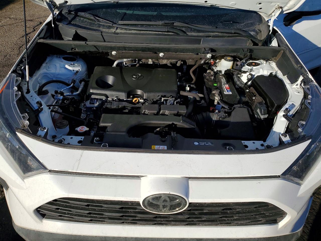 2019 TOYOTA RAV4 LE photo 11