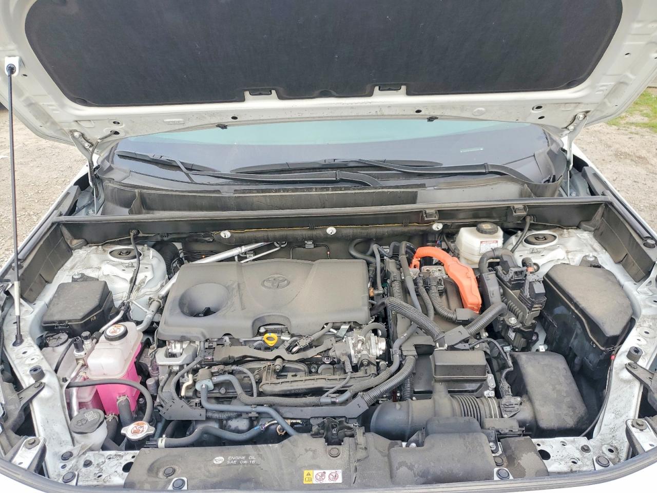 2024 TOYOTA RAV4 XLE PREMIUM photo 12