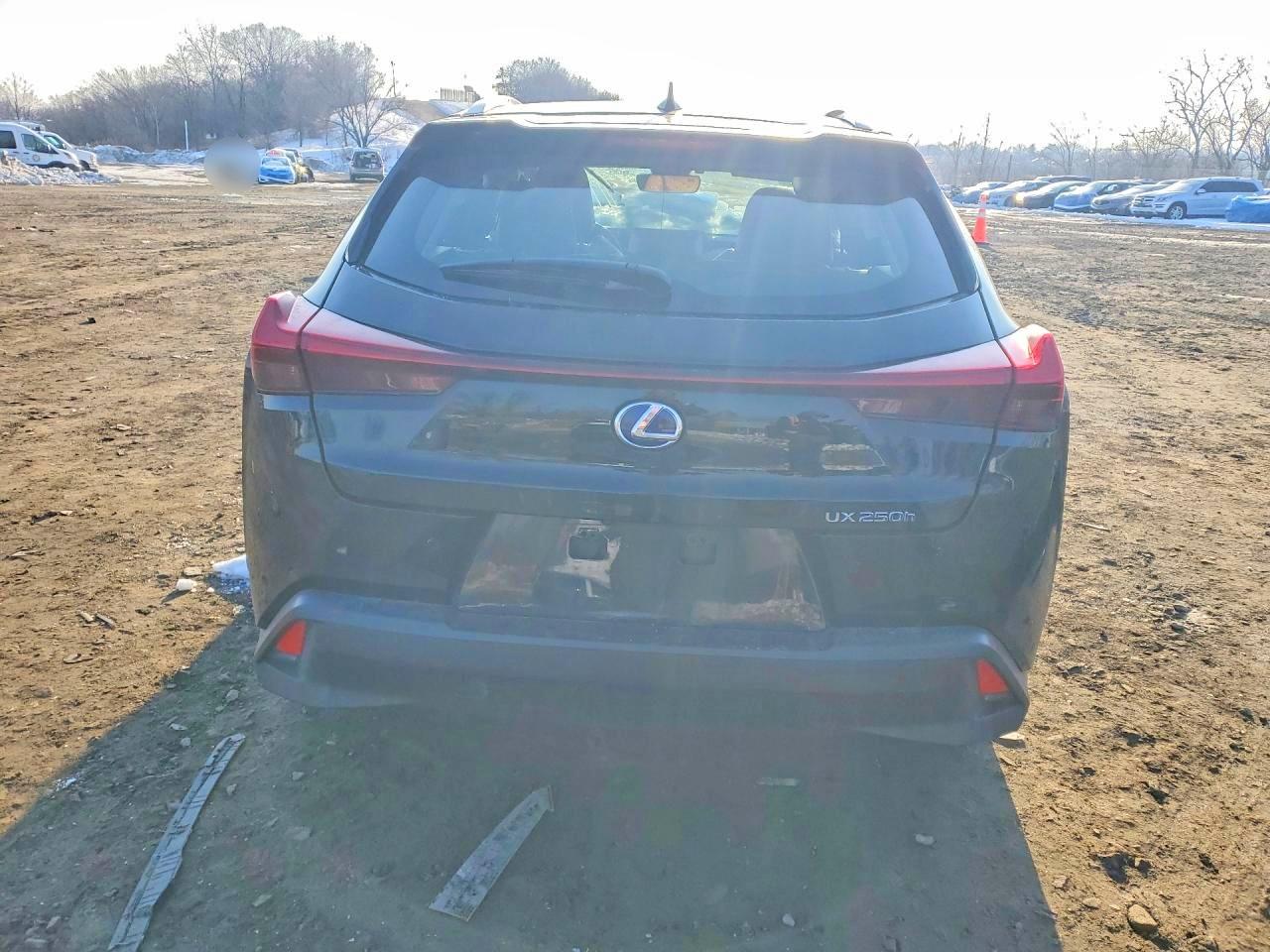 2021 LEXUS UX 250H photo 6