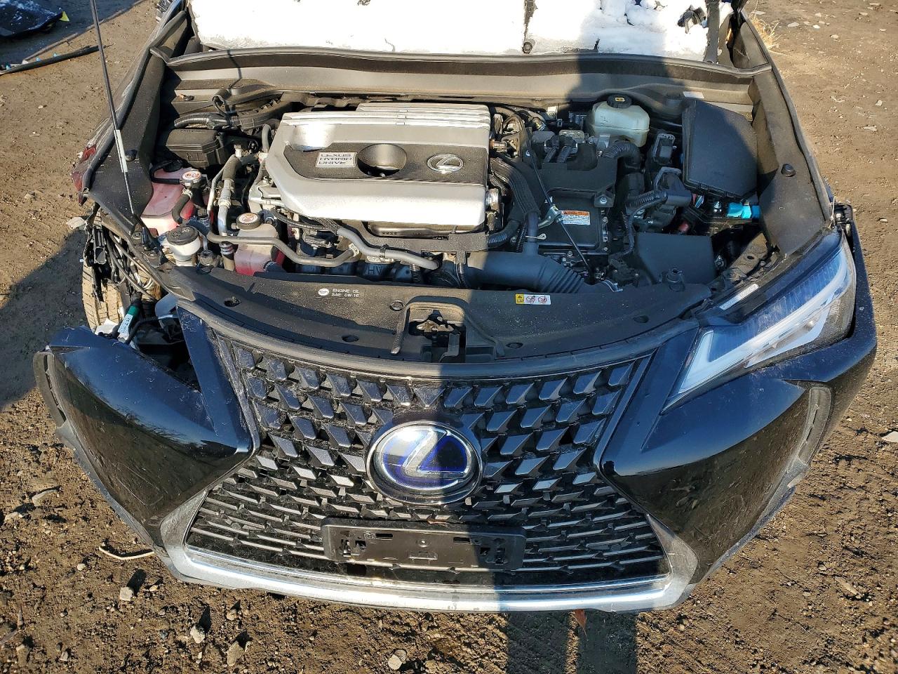 2021 LEXUS UX 250H photo 11