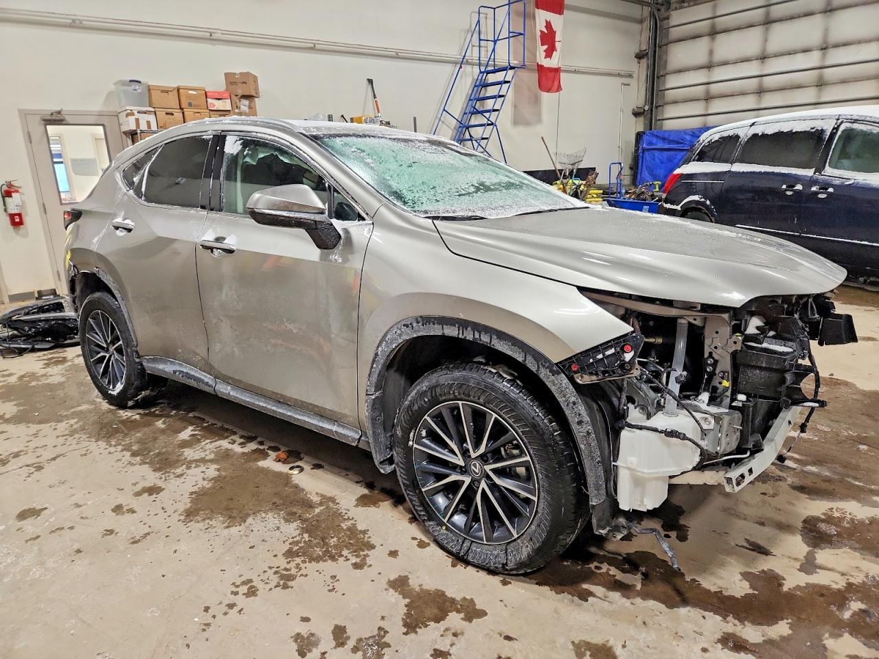 2025 LEXUS NX 350 PREMIUM photo 7