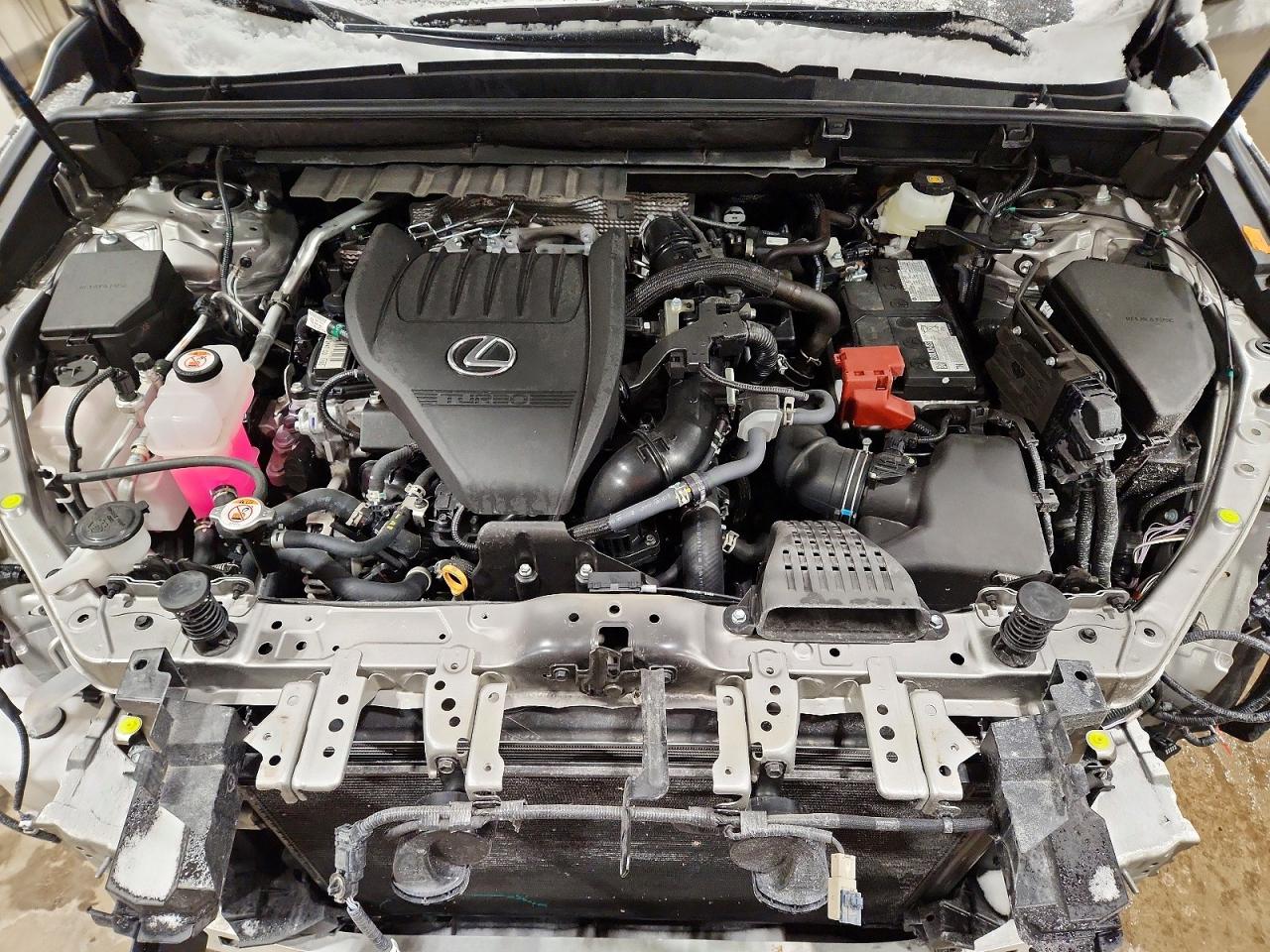 2025 LEXUS NX 350 PREMIUM photo 23