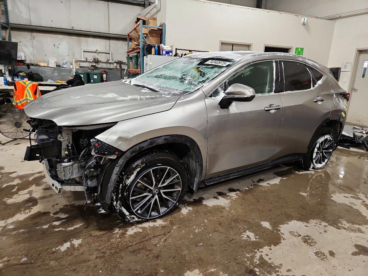 2025 LEXUS NX