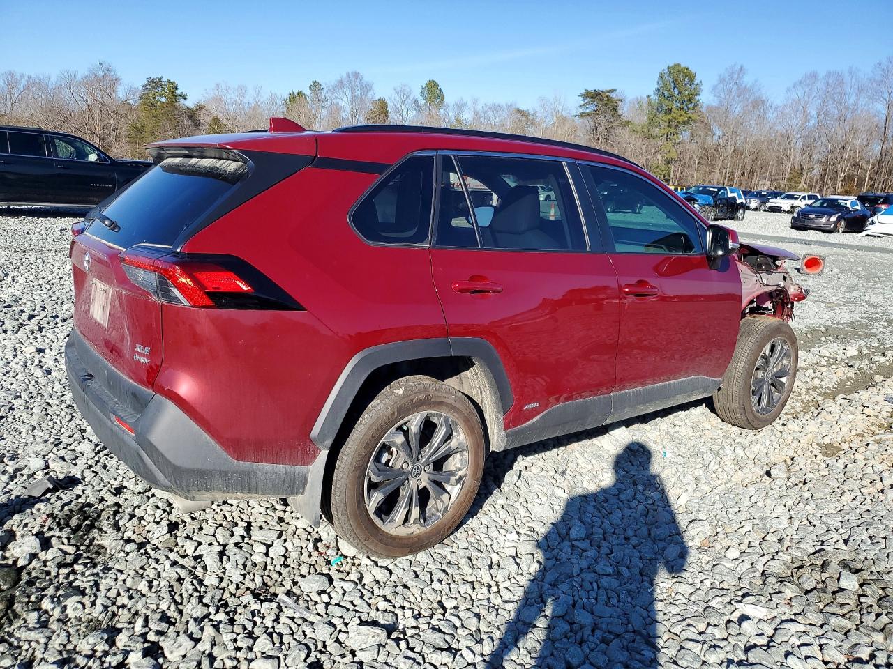 2025 TOYOTA RAV4 XLE PREMIUM photo 5