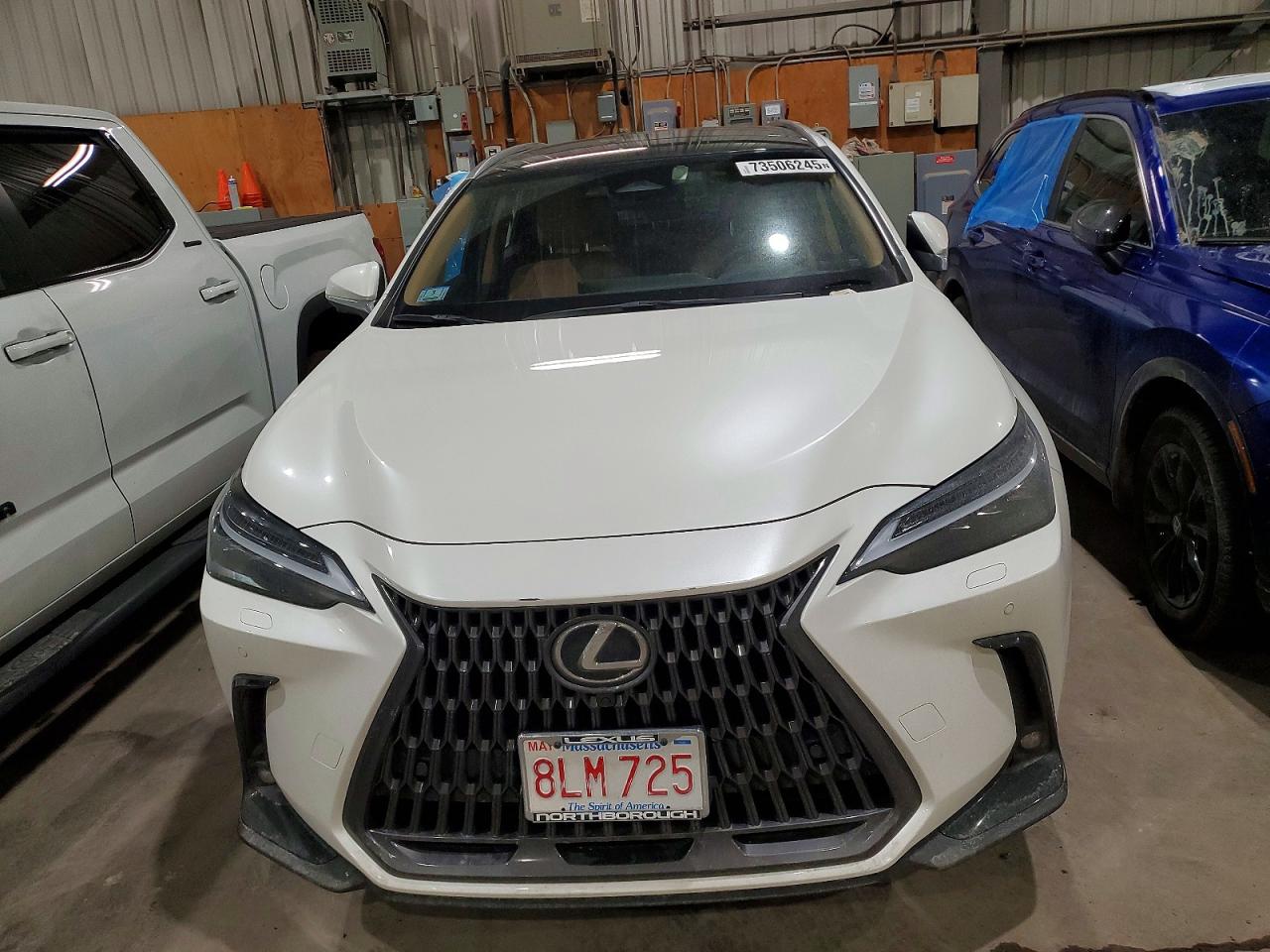 2025 LEXUS NX 450H LUXURY photo 9