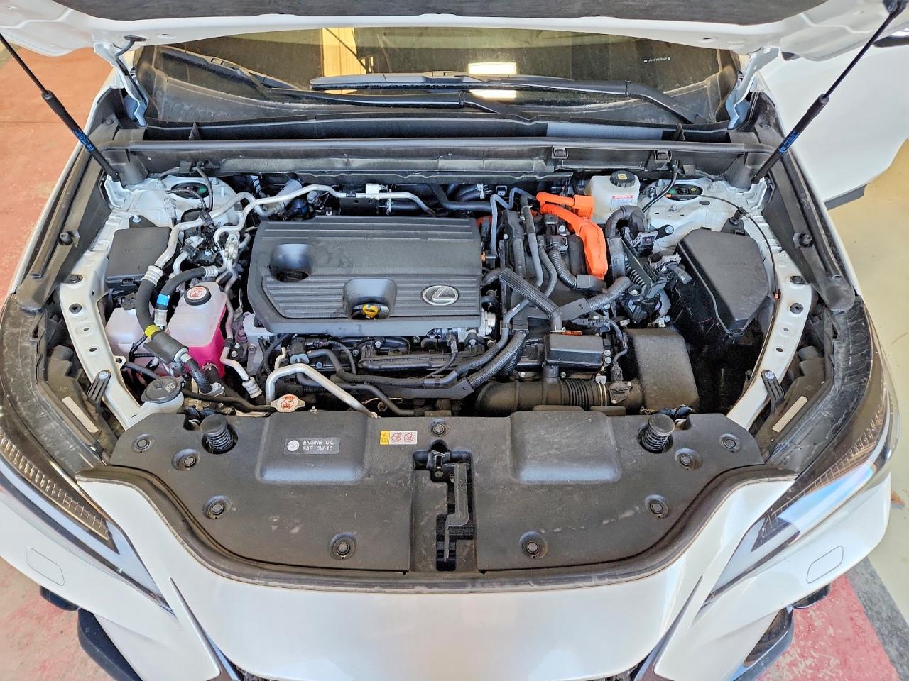2025 LEXUS NX 450H LUXURY photo 23