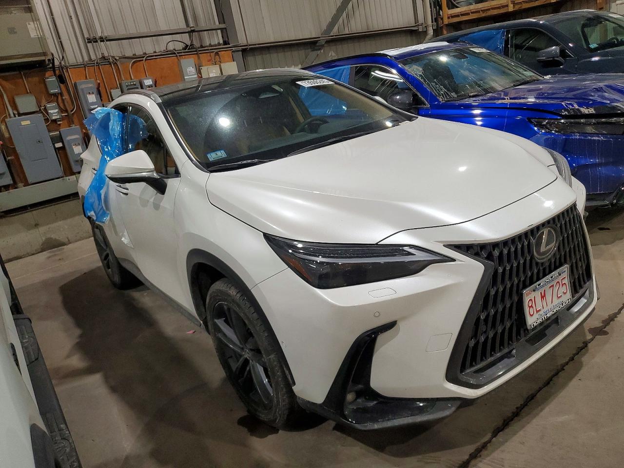 2025 LEXUS NX 450H LUXURY photo 7