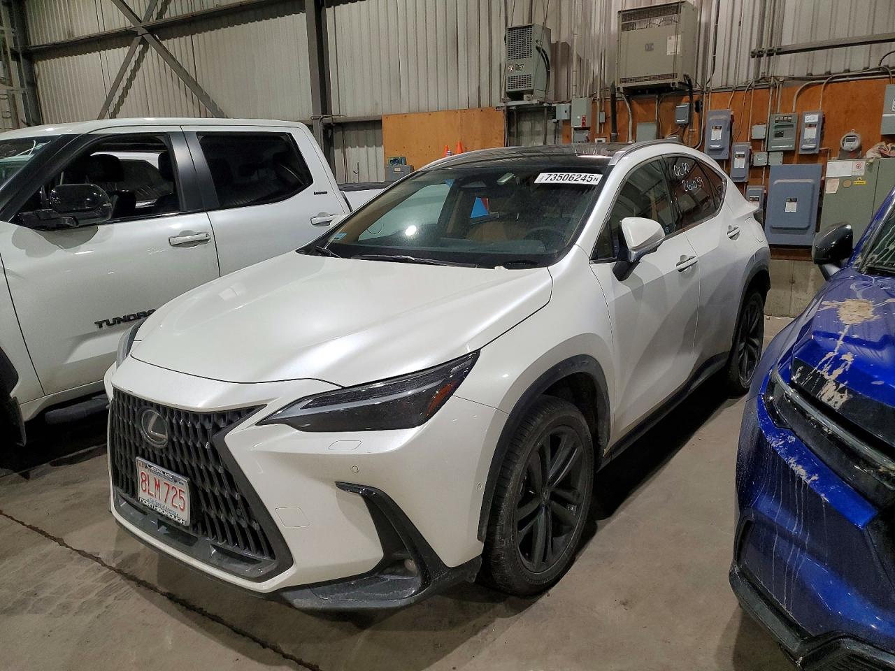 2025 LEXUS NX