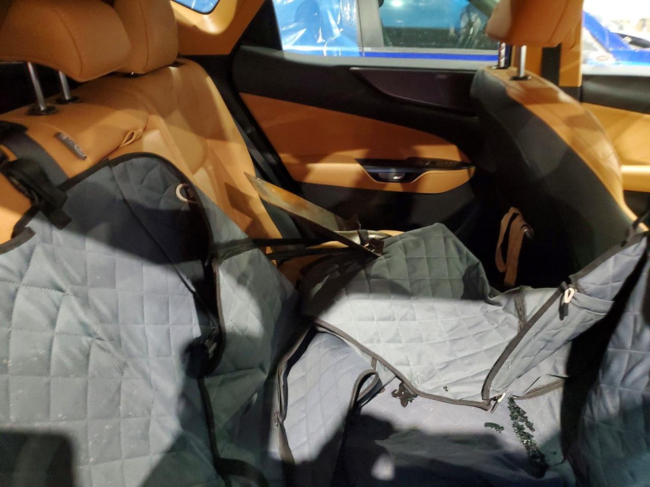 2025 LEXUS NX 450H LUXURY photo 20